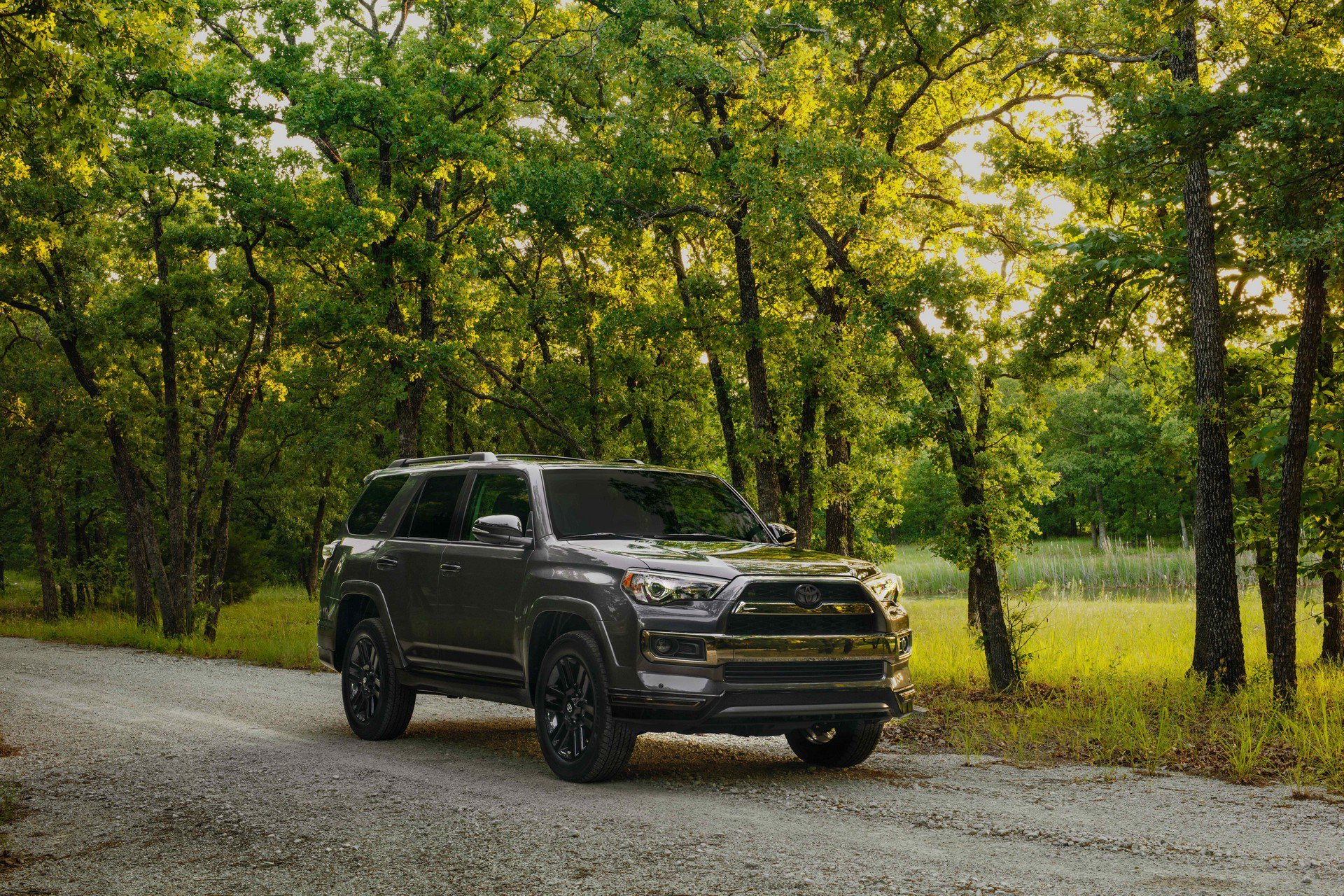 New 2019 Toyota 4Runner TRD Off-Road For Sale ($38,485)  1 Stop Leasing Stock #618